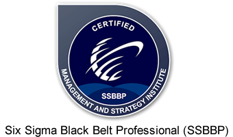 Six Sigma Black Belt Professional